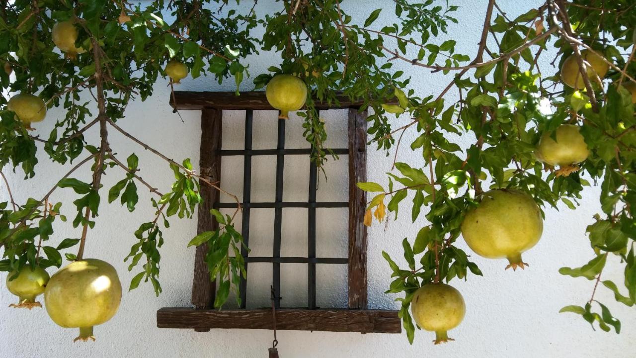 Mohedas de la Jara El Escudo De Calatrava酒店 外观 照片